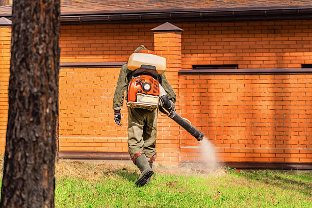 Trusted Mosquito Control service in Wildwood, NJ - Nex Pest Control